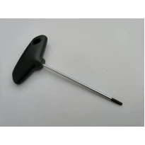Klíč ROHLOFF TORX T20
