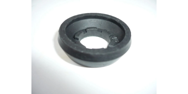 Těsnění pumpičky PFP-2,4